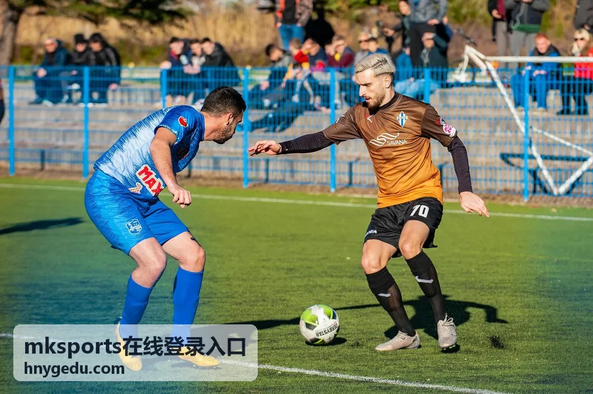 体育赛事运营团队使用mksports后台